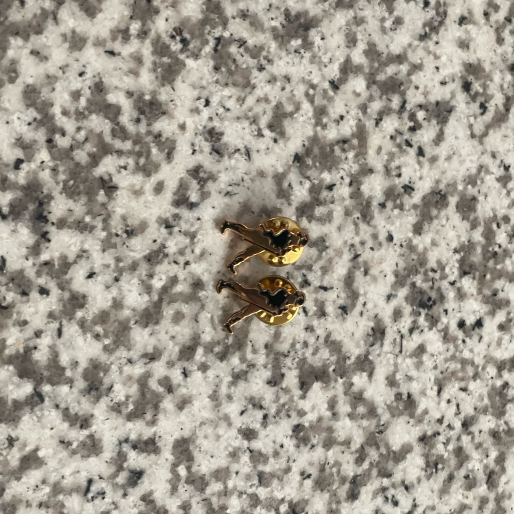 Johnny Walker black and gold pinnets